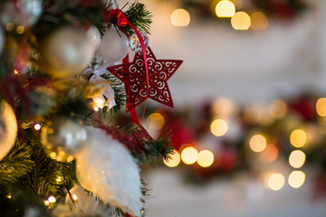 Festive Moments by the Sea