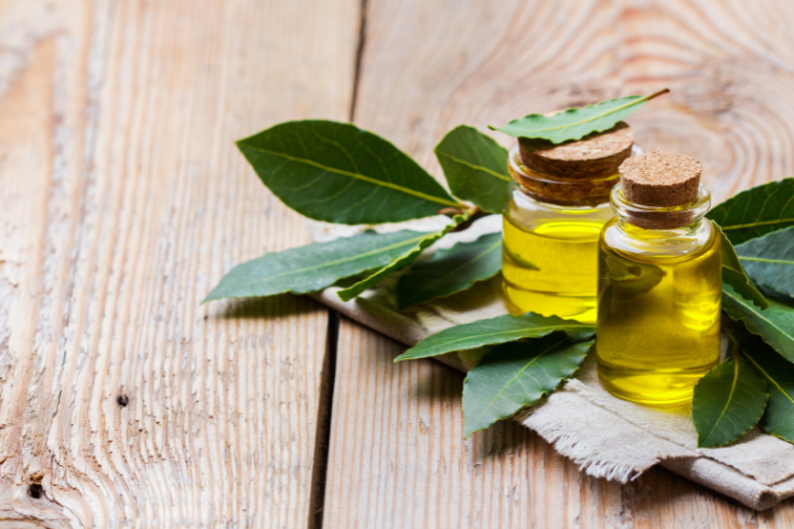 Liburnia Spa Experience